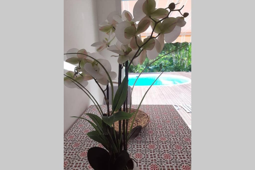 Les Orchidees Daire Petit-Bourg Dış mekan fotoğraf